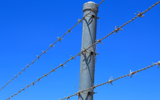 barbed wire Features